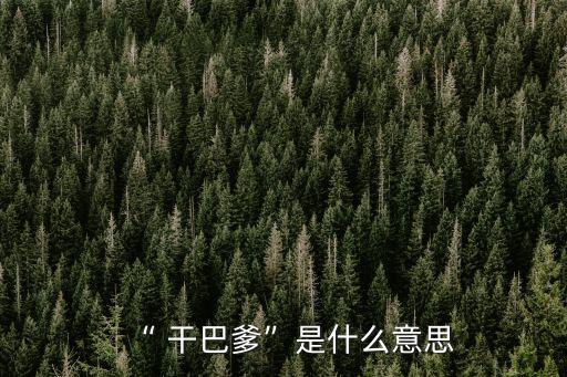 “ 干巴爹”是什么意思