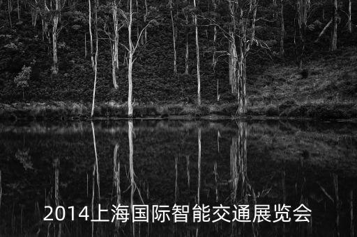 上海市智能展覽會，上海市博會