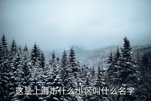 這是上海市什么小區叫什么名字