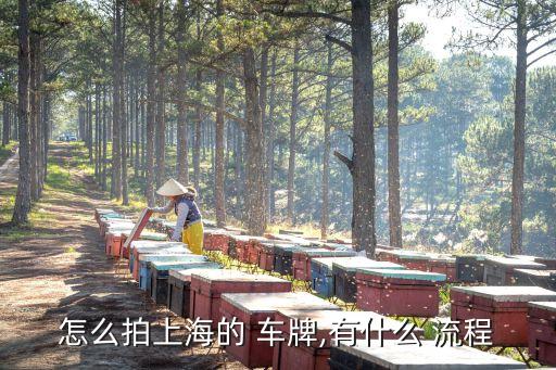 怎么拍上海的 車牌,有什么 流程