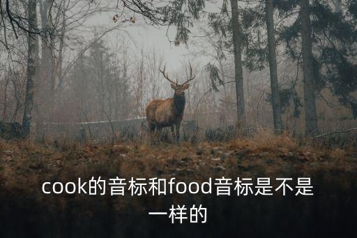 cook的音標和food音標是不是一樣的