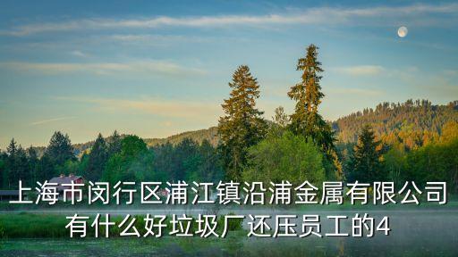 上海市閔行區(qū)浦江鎮(zhèn)沿浦金屬有限公司有什么好垃圾廠還壓員工的4