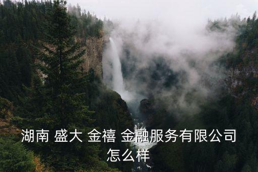 湖南 盛大 金禧 金融服務有限公司怎么樣