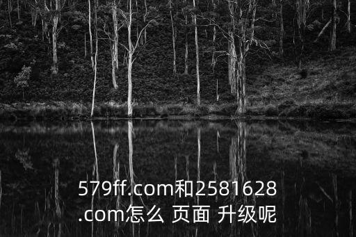 訪問升級頁面,使用ieie出現安全問題或補丁打錯了