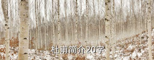 杜甫簡介,杜甫被稱為詩圣杜甫簡介20字