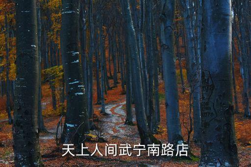 上海市武寧路天上人間，天上人間武寧南路店