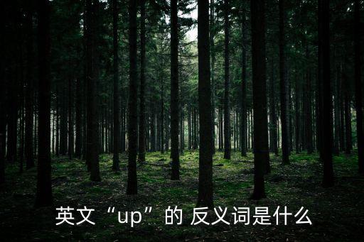  英文“up”的 反義詞是什么
