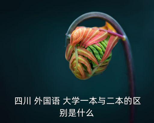 四川外國語大學(xué)是幾本,四川外國語大學(xué)本科第一批招收普通專業(yè)