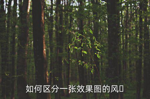如何區分一張效果圖的風?