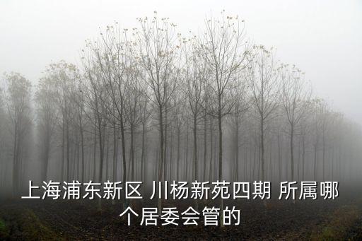 上海浦東新區 川楊新苑四期 所屬哪個居委會管的