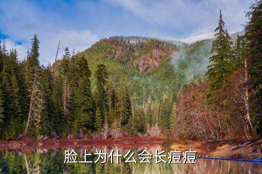 臉上為什么會長痘痘