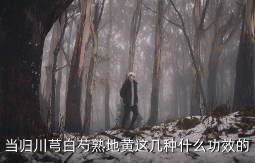 熟地黃功效，當歸川芎白芍熟地黃這幾種什么功效的