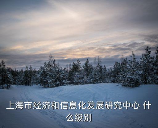 上海市經(jīng)濟和信息化發(fā)展研究中心 什么級別