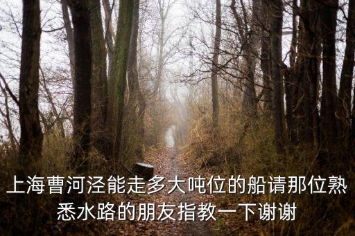 上海曹河涇能走多大噸位的船請(qǐng)那位熟悉水路的朋友指教一下謝謝