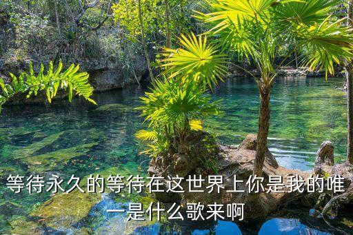 黃綺珊等待，我是歌手黃綺珊唱等待是哪期