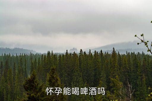 懷孕可以喝啤酒嗎，懷孕能喝啤酒嗎