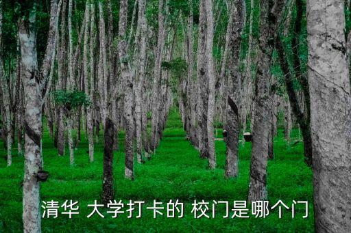 大學校門,清華大學百年校門有三位大師校門