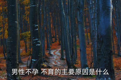 男子不育,男性不育綜合征三大原因之一