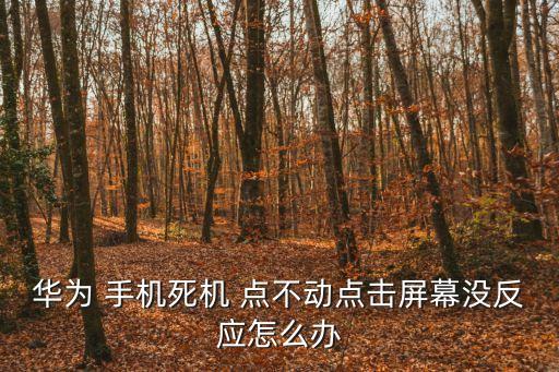 手機觸屏沒反應點不動,觸摸屏故障可按如下方式進行故障排除