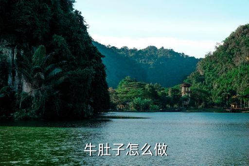 牛肚怎么做,素炒青椒牛肚1食材明細看這里!