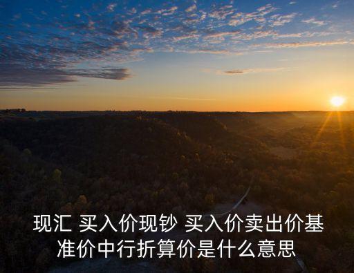 現(xiàn)匯買入價,現(xiàn)匯買入價格參考銀行價格報價