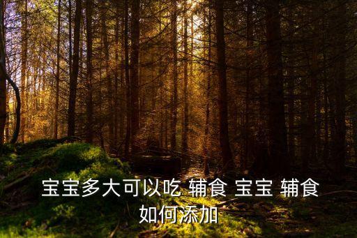  寶寶多大可以吃 輔食 寶寶 輔食如何添加