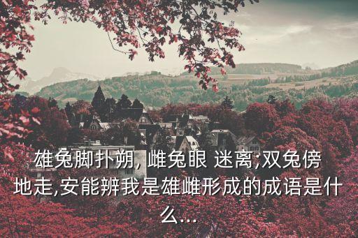 雌兔眼迷離,公兔腳撲，雌兔眼迷離出處