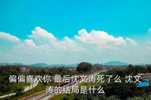 偏偏喜歡你 最后沈文濤死了么 沈文濤的結(jié)局是什么