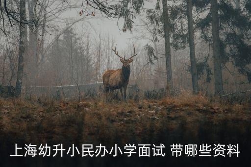 上海市民辦幼升小考試，2o16上海閔行民辦幼升小需要哪些條件要幼兒的居住證嗎還有父母一