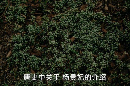 唐史中關于 楊貴妃的介紹