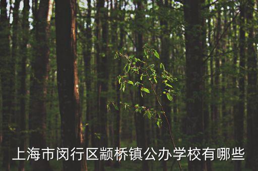 上海市閔行區顓橋鎮公辦學校有哪些
