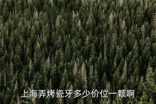 上海弄烤瓷牙多少價位一顆啊