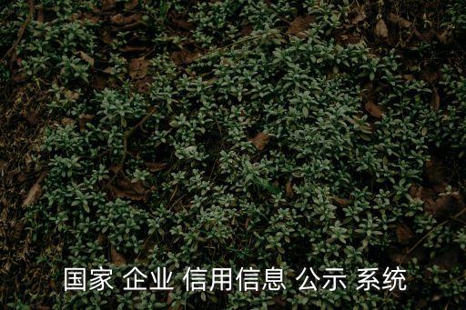 國家企業(yè)信用公示系統(tǒng)
