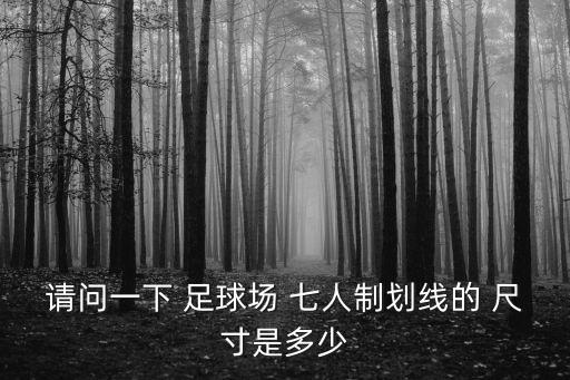 請問一下 足球場 七人制劃線的 尺寸是多少