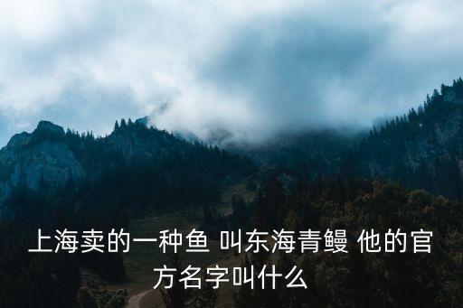 上海賣的一種魚 叫東海青鰻 他的官方名字叫什么