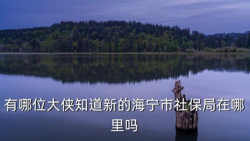 上海市海寧市社保局，海寧的社保局在哪里