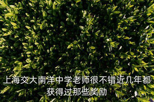 上海市教師獎(jiǎng)，上海交大南洋中學(xué)老師很不錯(cuò)近幾年都獲得過那些獎(jiǎng)勵(lì)
