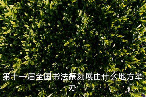 第十一屆全國書法篆刻展由什么地方舉辦