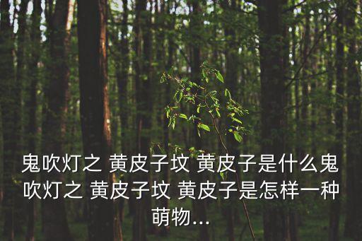 鬼吹燈之 黃皮子墳 黃皮子是什么鬼吹燈之 黃皮子墳 黃皮子是怎樣一種萌物...