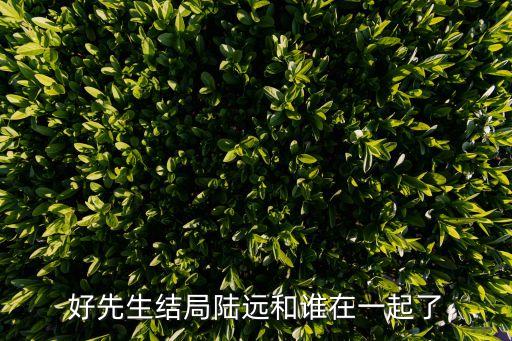 好先生結局陸遠和誰在一起了