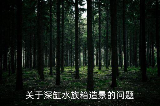 關于深缸水族箱造景的問題