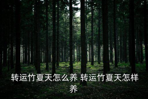 轉(zhuǎn)運(yùn)竹怎么養(yǎng),家里養(yǎng)六支轉(zhuǎn)運(yùn)竹可旺財(cái)運(yùn)?