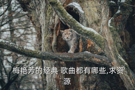 梅艷芳歌曲,梅艷芳歌曲大全在線收聽免費下載地址