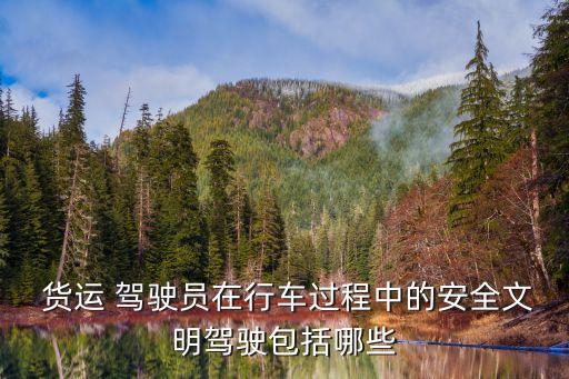 貨運(yùn)駕駛員,駕駛員不準(zhǔn)光著背、光著腳、穿拖鞋行駛