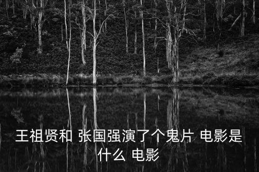 王祖賢和 張國(guó)強(qiáng)演了個(gè)鬼片 電影是什么 電影