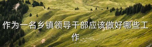 作為一名鄉(xiāng)鎮(zhèn)領(lǐng)導(dǎo)干部應(yīng)該做好哪些工作