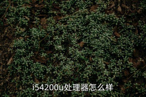 i54200u，2021年i54200u現在還夠用嗎