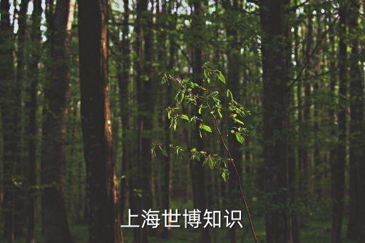 上海世博知識
