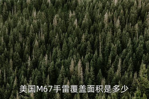 美國M67手雷覆蓋面積是多少