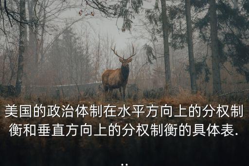 美國的政治體制在水平方向上的分權制衡和垂直方向上的分權制衡的具體表...